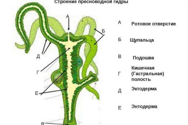 Зеркало blacksprut тор ссылка