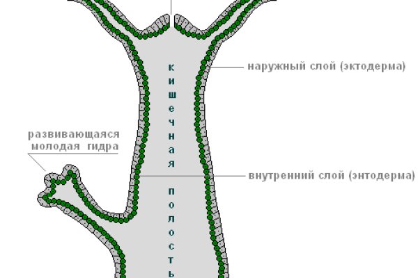 Bs gl зеркало blacksprut wiki