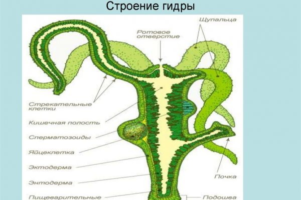 Бот в телеграмме для пополнения blacksprut